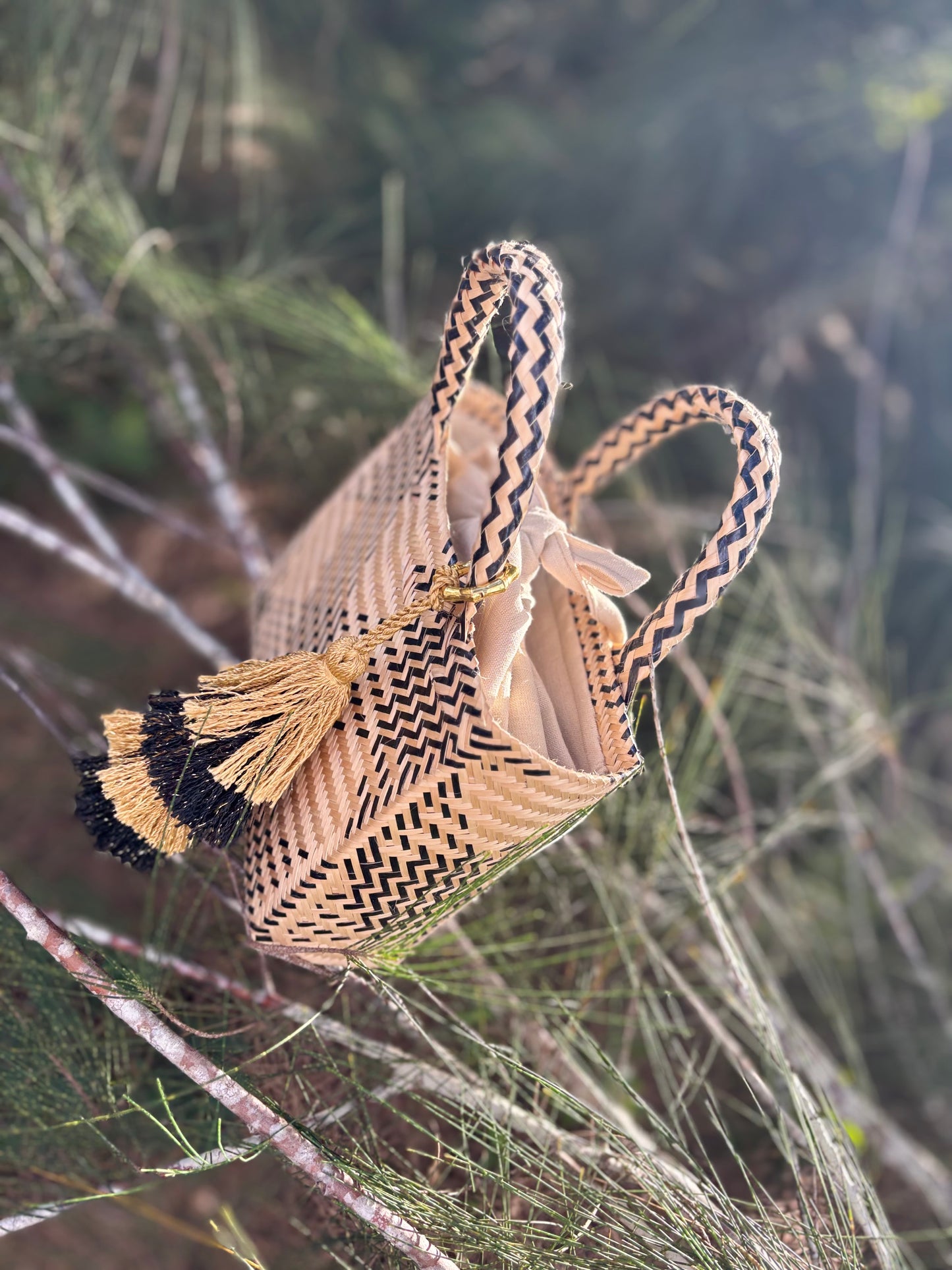 Mini Sierra Bag